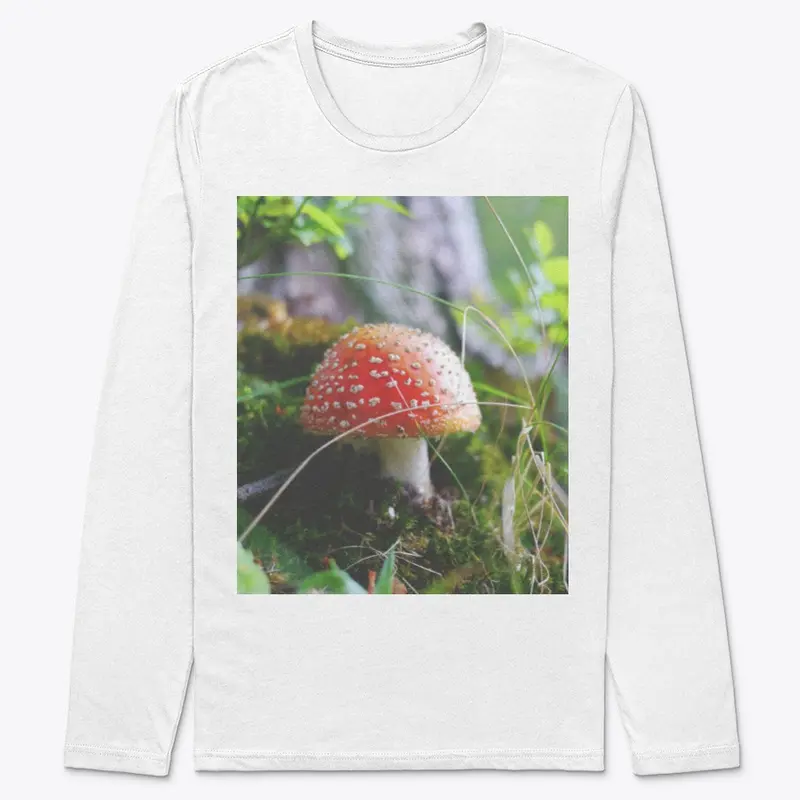 Summer Forest Mushroom