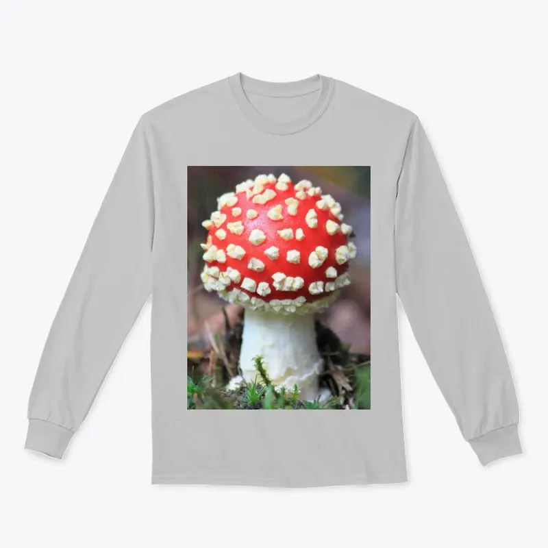 Forest Mushroom